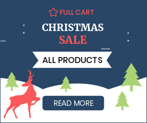 Christmas Sale — All Products 30% Off