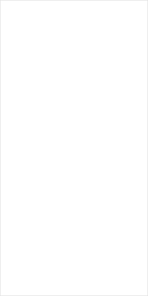 Banner ad template — New Business Centre — Flats for Rent