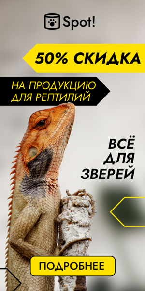 Шаблон рекламного баннера — 50% скидка на продукцию для рептилий —всё для зверей