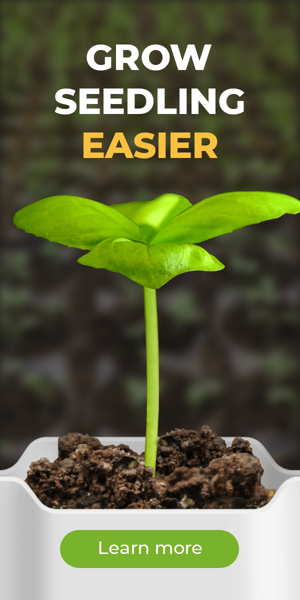 Шаблон рекламного банера — Grow Seedling Easier — Agriculture