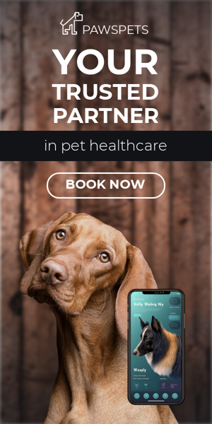 Banner ad template — Your Trusted Partner — In Pet Healthcare
