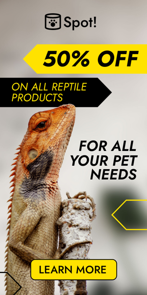 Banner ad template — 50% Off On All Reptile Products — For All Your Pet Needs