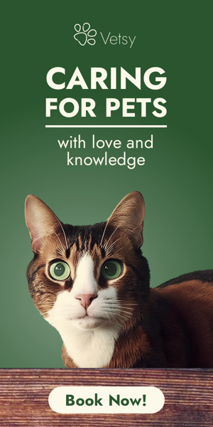 Шаблон рекламного банера — Caring For Pets — With Love And Knowledge