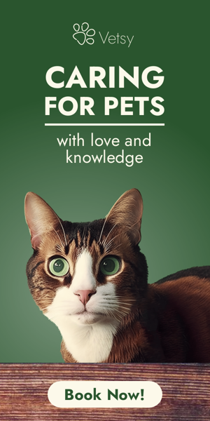 Banner ad template — Caring For Pets — With Love And Knowledge