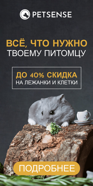 Шаблон рекламного баннера — Всё, что нужно твоему питомцу — до 40% скидка на лежанки и клетки