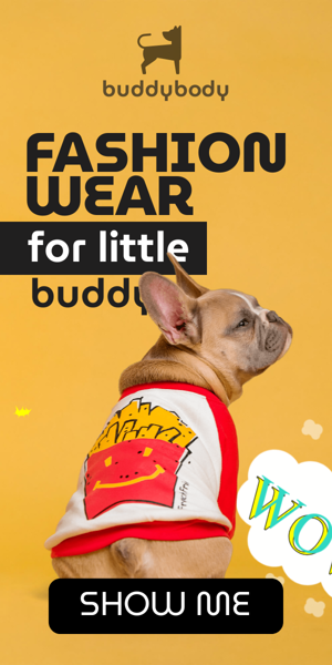 Szablon reklamy banerowej — Modekleidung für den kleinen Freund — Haustierladen