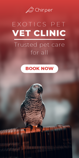 Banner ad template — Exotics Pet Vet Clinic — Trusted Care For All