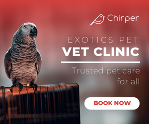 Exotics Pet Vet Clinic — Trusted Care For All