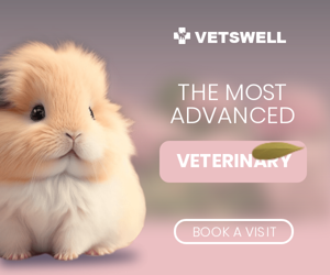 The Most Advanced — Veterinary