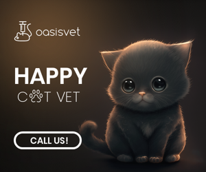 Happy Cat Vet — Veterinary Clinic