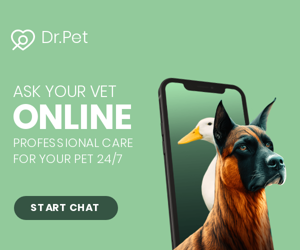 Ask Your Vet Online — Professional Care For Your Pet 24/7