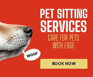 Pet Sitting Services — Care For Pets With Ease
