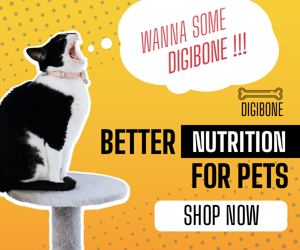 better-nutrition-for-pets-animal-feed-banner-template