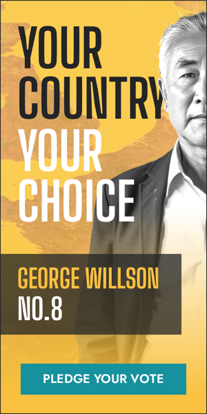 Szablon reklamy banerowej — Dein Land Deine Wahl George Willson Nr. 3 — Wahlkampagne
