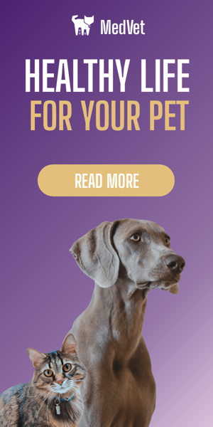 Шаблон рекламного банера — Healthy Life — For Your Pet