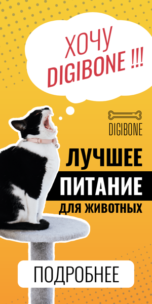 Шаблон рекламного баннера — Лучшее питание для животных — корм