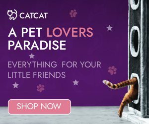 A Pet Lovers Paradise — Everything For Your Little Friends