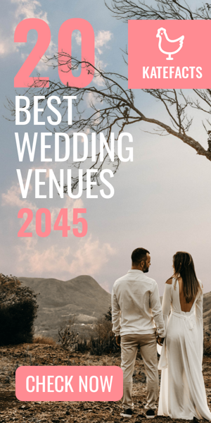 Banner ad template — 20 Best Wedding Venues 2045 — Lifestyle Blog