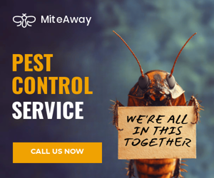 Pest Control Service — We're All In This Together