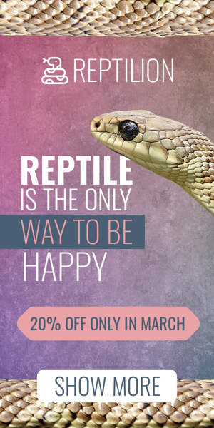 Banner ad template — Reptile Is The Only Way To Be Happy — 20% Off Only In March