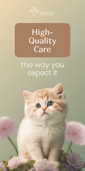 Szablon reklamy banerowej — Hochwertige Pflege – So, wie Sie es erwarten