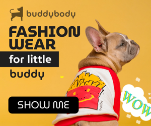 Fashion Wear For Little Buddy — Pet Shop