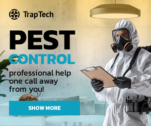 Pest Control — Professional Help One Call Away From You!