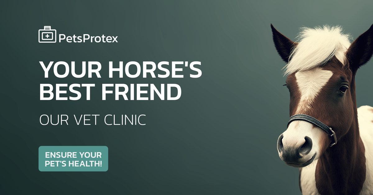 Finance 101 — Mastering The Art Of Money Management — Banner Template