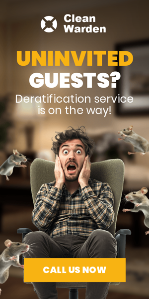 Banner ad template — Uninvited Guests? — Deratification Service Is On The Way!