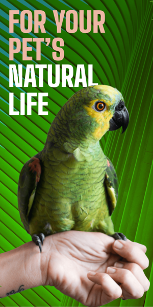 Szablon reklamy banerowej — For Your Pets Natural Life — Pet Shop