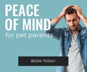 Peace Of Mind For Pet Parents — Trusted Care When You're Away