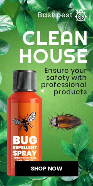 Banner ad template — Clean House — Ensure Your Safety With Professional Products