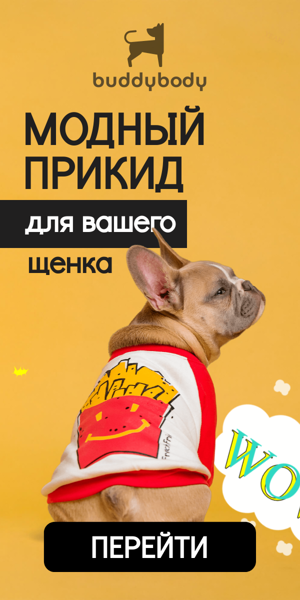 Шаблон рекламного баннера — Модный прикид для вашего щенка — зоомагазин