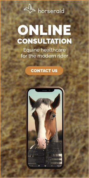 Шаблон рекламного банера — Online Consultation — Equine Healthcare For The Modern Rider