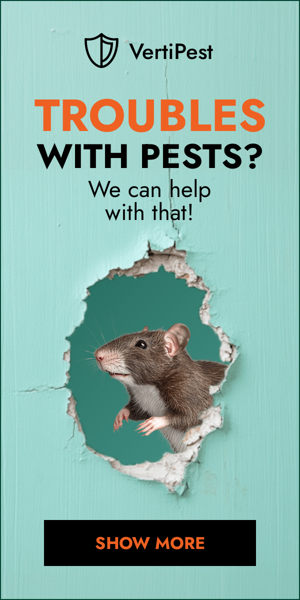 Шаблон рекламного банера — Troubles With Pests? — We Can Help With That!