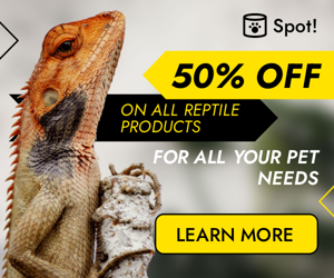 50% Off On All Reptile Products — For All Your Pet Needs