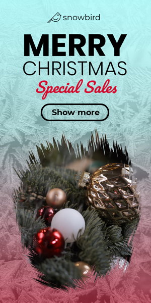 Шаблон рекламного банера — Merry Christmas — Special Sales