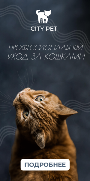 Шаблон рекламного баннера — Профессиональный уход — за кошками