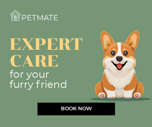 Expert Care — For Your Furry Friend