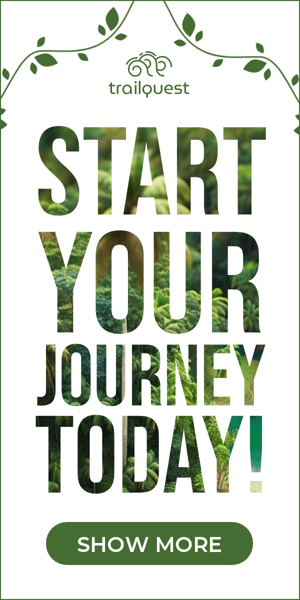 Banner ad template — Traveling — Start Your Journey Today!