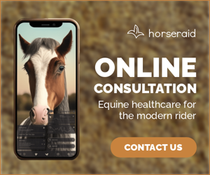 Online Consultation — Equine Healthcare For The Modern Rider