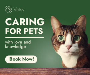 Caring For Pets — With Love And Knowledge