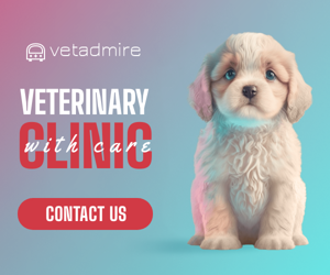 Veterinary Clinic — With Care