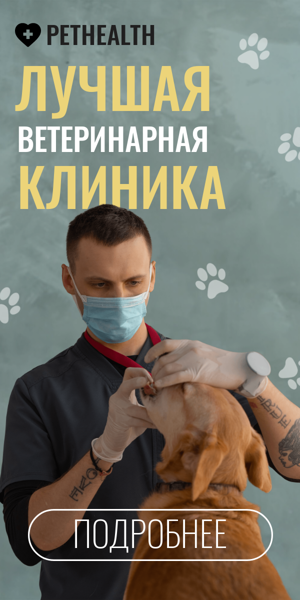 Шаблон рекламного баннера — Лучшая — ветеринарная клиника