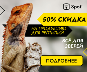 50% скидка на продукцию для рептилий  —всё для зверей