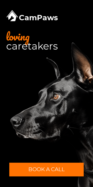 Szablon reklamy banerowej — Loving Caretakers — Certified Professionals