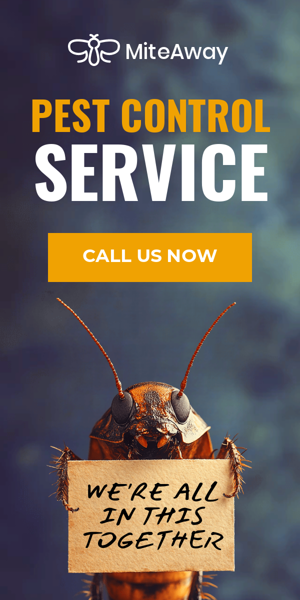 Шаблон рекламного банера — Служба боротьби зі шкідниками — Ми всі разом у цьому