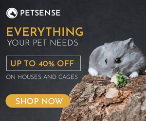 everything-your-pet-needs-up-to-40-off-on-houses-and-cages-banner-template