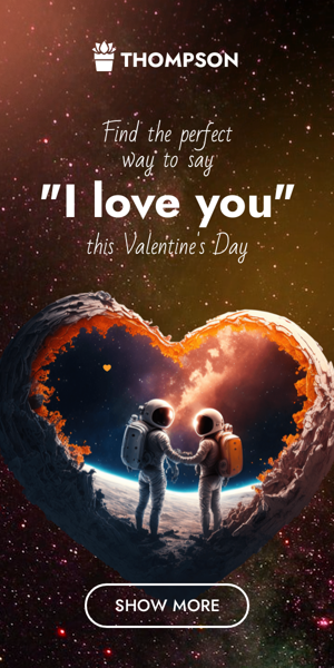 Banner ad template — Find The Perfect Way To Say "I Love You" This Valentine's Day — Valentine's Day