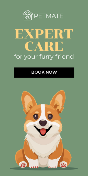 Шаблон рекламного банера — Expert Care — For Your Furry Friend